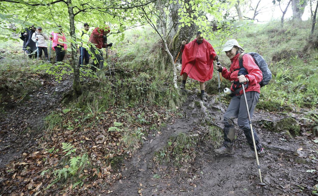 Los participantes en la ruta a pie de la última edición.