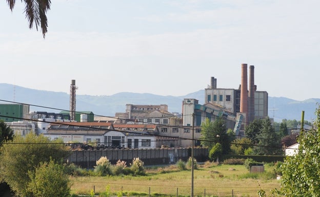 Los concursales de Sniace proponen adjudicar los activos forestales a la vasca IBS Capital por ocho millones