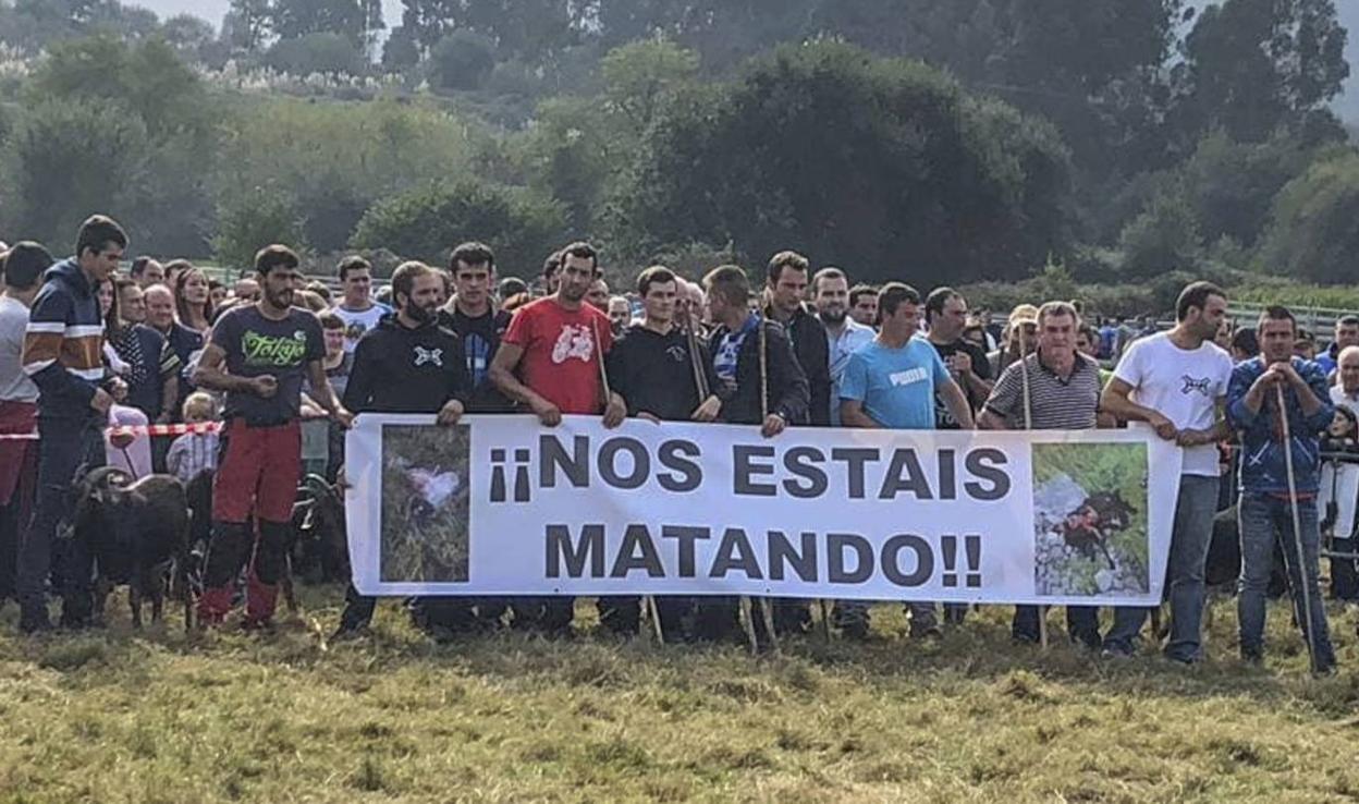 Protesta de ganaderos por el impacto del lobo en su actividad.