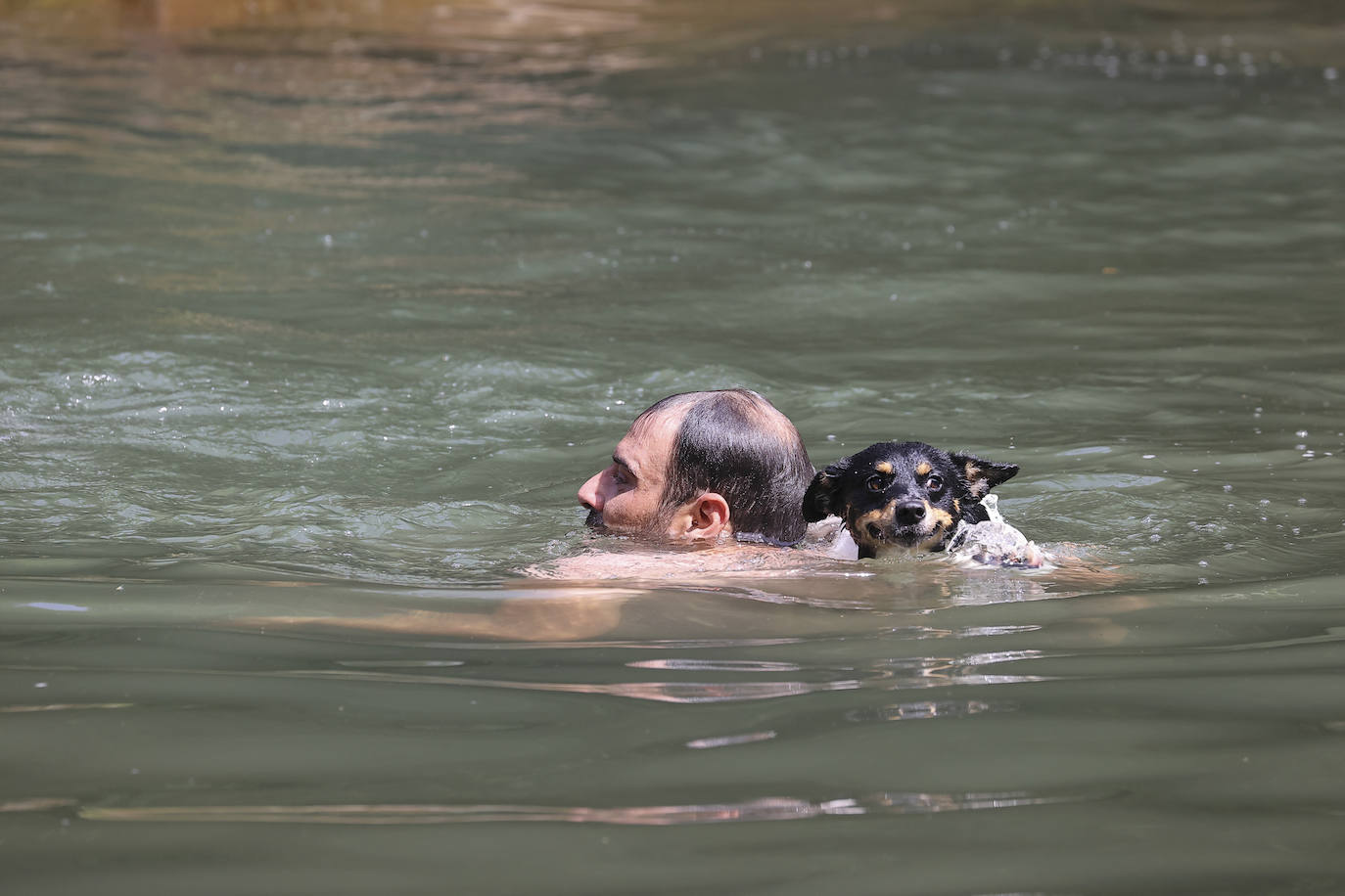 La ola de calor no da tregua en Cantabria tras una noche tropical. Este viernes los mercurios superarán las máximas de ayer, que a primera hora de la tarde rondarán los 40 grados en varios puntos de la región.