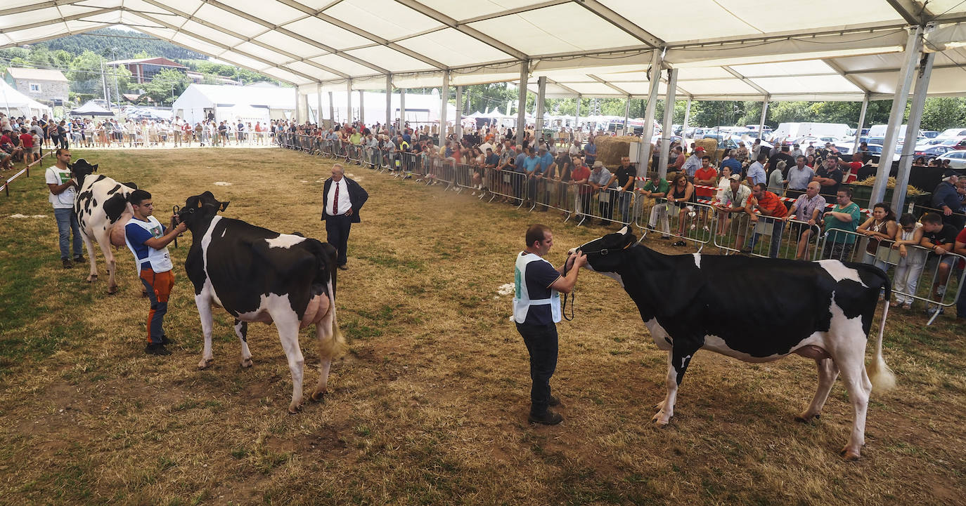 Este domingo se ha celebrado la 145 edición del Concurso-exposición del ganado vacuno frisón de San Antonio, en Renedo de Piélagos, que ha contado con la participación de 46 animales procedentes de 10 ganaderías de la región. En este marco, se han otorgado los premios más relevantes, incluso el de 'Gran Vaca Campeona', que en esta ocasión ha recaído en la ganadería Llera Her S.C, de Valdáliga. La feria forma parte de las actividades que se han celebrado en el municipio para celebrar la festividad de San Antonio, entre las que también destaca un concurso monográfico de mastín español; la feria agroalimentaria Gran Fiesta de la Leche, arrastre de bueyes y un espectáculo ecuestre.