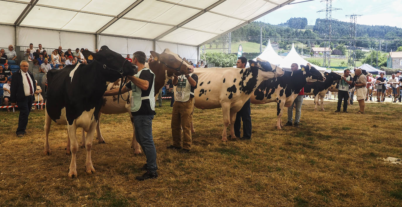 Este domingo se ha celebrado la 145 edición del Concurso-exposición del ganado vacuno frisón de San Antonio, en Renedo de Piélagos, que ha contado con la participación de 46 animales procedentes de 10 ganaderías de la región. En este marco, se han otorgado los premios más relevantes, incluso el de 'Gran Vaca Campeona', que en esta ocasión ha recaído en la ganadería Llera Her S.C, de Valdáliga. La feria forma parte de las actividades que se han celebrado en el municipio para celebrar la festividad de San Antonio, entre las que también destaca un concurso monográfico de mastín español; la feria agroalimentaria Gran Fiesta de la Leche, arrastre de bueyes y un espectáculo ecuestre.