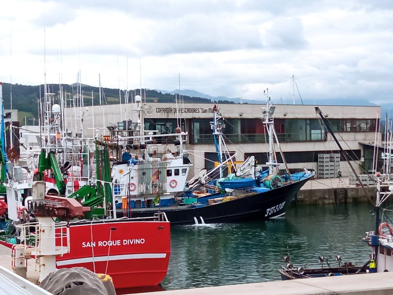 Cuatro barcos 'de pulso' y uno de cacea arrancan la semana con un precio medio de 6 euros el kilo por los bonitos grandes y de 4,20 euros el kilo de los medianos.