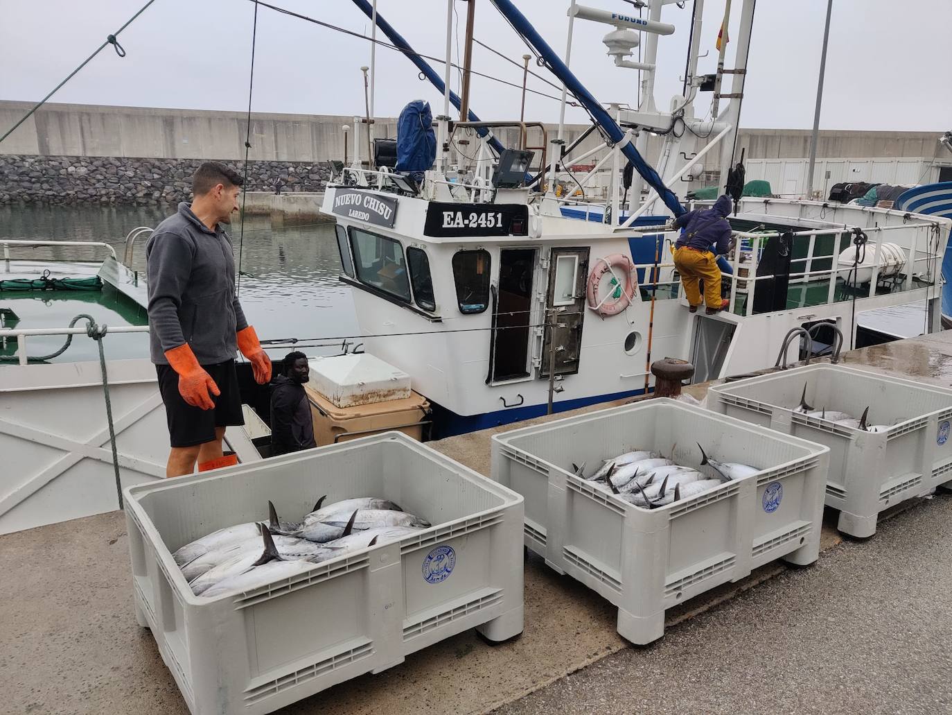 Cuatro barcos 'de pulso' y uno de cacea arrancan la semana con un precio medio de 6 euros el kilo por los bonitos grandes y de 4,20 euros el kilo de los medianos.