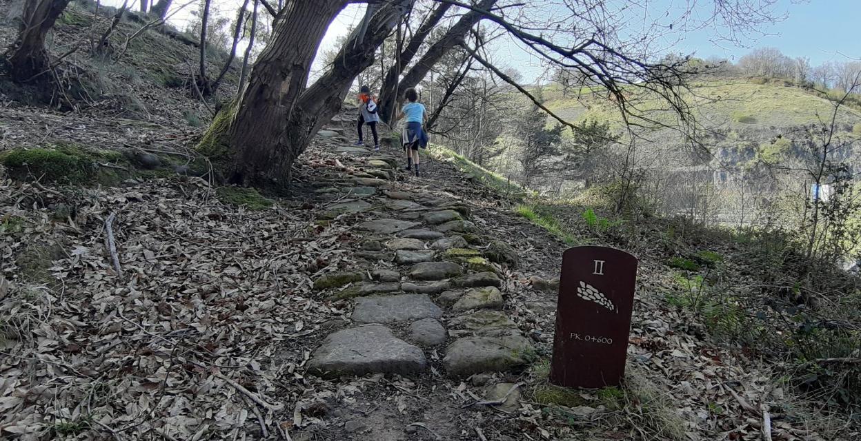 La calzada del monte Fresneda de Los Corrales será protagonista del curso de verano de Los Corrales.