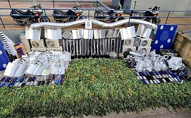 Las plantas y utensilios incautados por la Policía Nacional en Santander. 