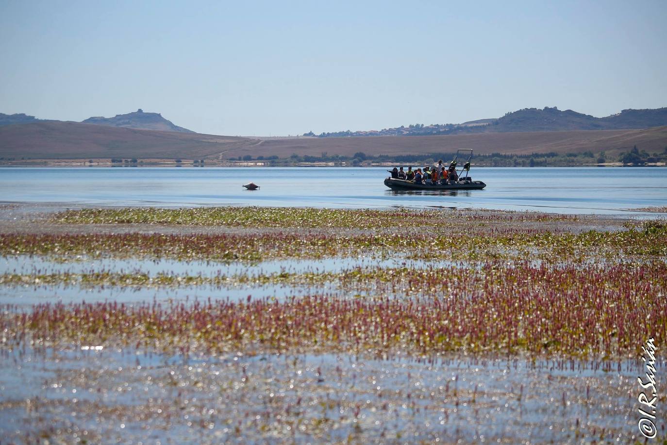 Centro Ornitológico Embalse del Ebro, ENP de Campoo Los Valles. Dificultad: Baja. Desnivel: 0 metros. Distancia horizontal: 25 km. Tipo de recorrido: Circular. 