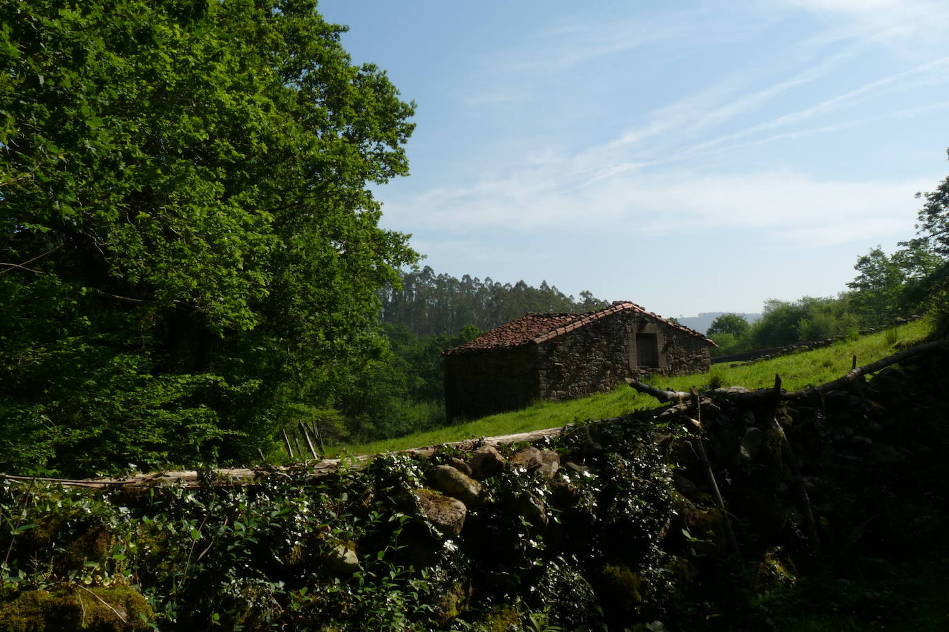 CI PN de Oyambre y ENP de Saja Nansa. Plazas libres: 21. Duración: 2 horas Desnivel: 45 m Distancia: 2.12 Km. Tipo de recorrido: Circular. Tipo de firme: Sendero. Dificultad: Baja Gratuita. Es necesaria reserva previa.