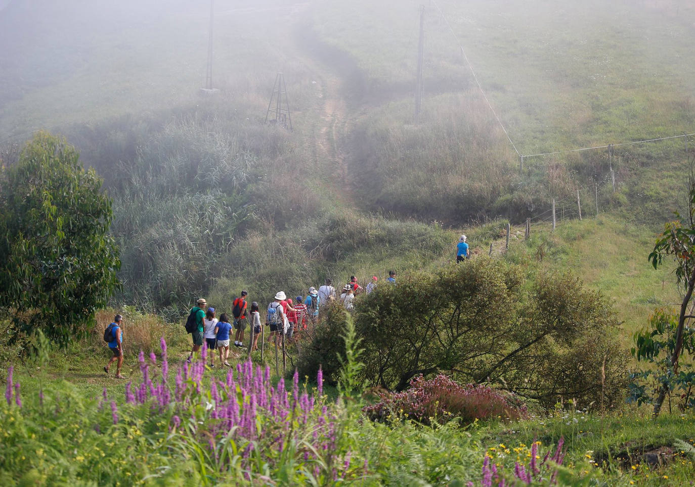 CI PN de Oyambre y ENP de Saja Nansa. Plazas libres: 13. Duración: 3 horas. Desnivel: 100 metros. Distancia: 6.53 Km. Tipo de recorrido: Circular. Tipo de firme: Carretera, pista y camino. Dificultad: Baja.