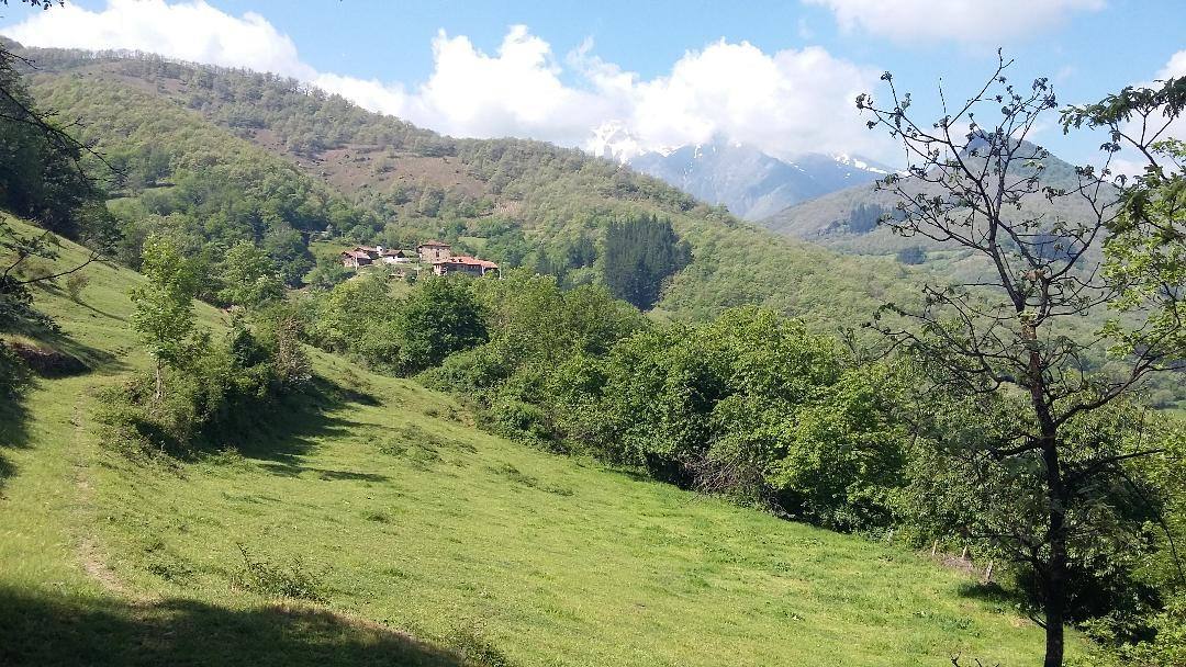 Casa de la Naturaleza de Pesaguero, Red Natura 2000 en Liébana. Plazas libres: 23. Duración: 2,30 horas, Longitud: 4 km, Desnivel: 230 metros. Dificultad: Baja. Gratuita. Necesaria reserva previa.