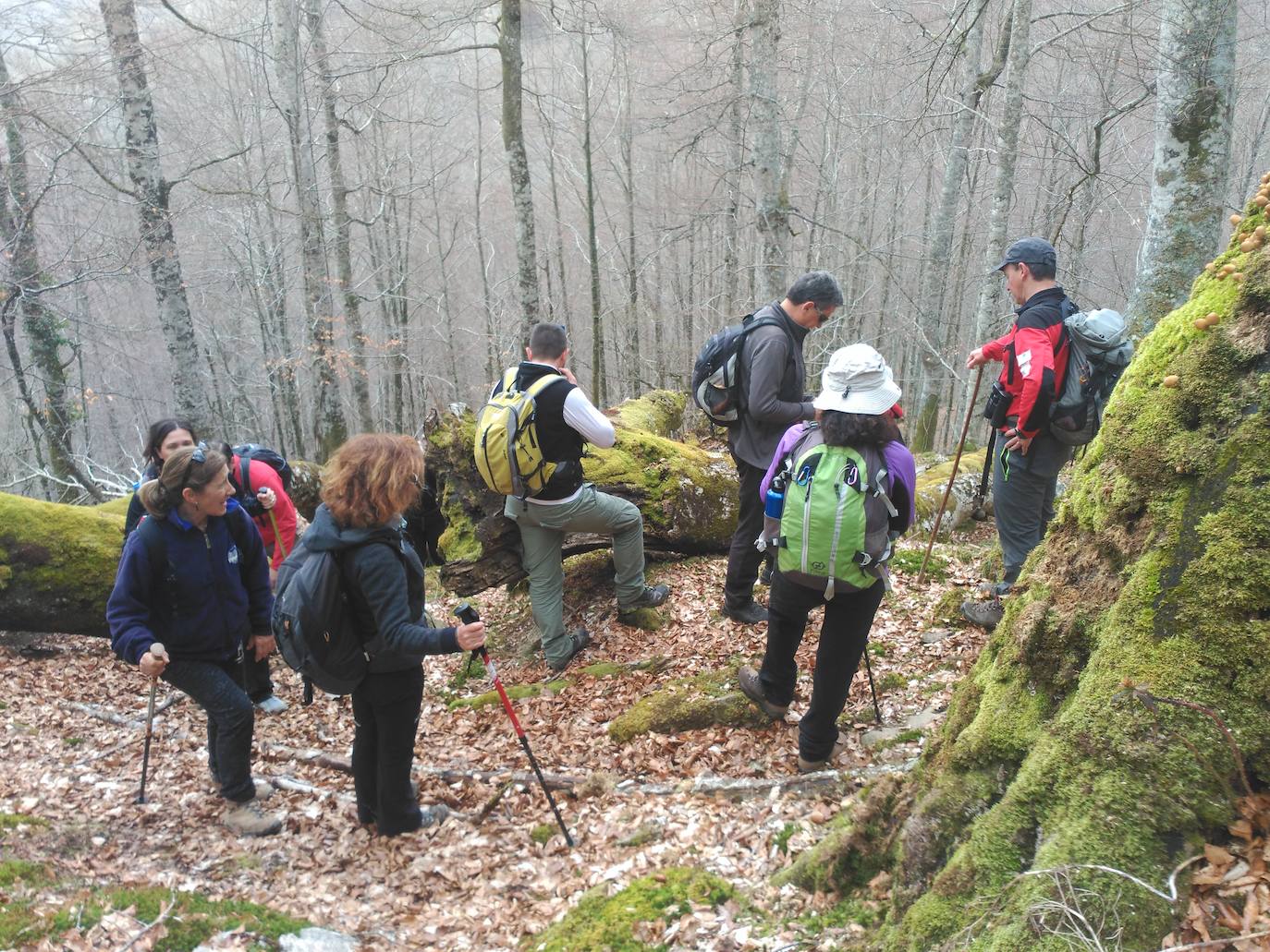 CI PN Saja-Besaya y ENP Saja Nansa. Plazas libres: 11. Duración: 5 horas. Desnivel acumulado: 650 metros. Distancia: 11 Km. Tipo de recorrido: Circular. Tipo de firme: Sendero. Dificultad: Media.