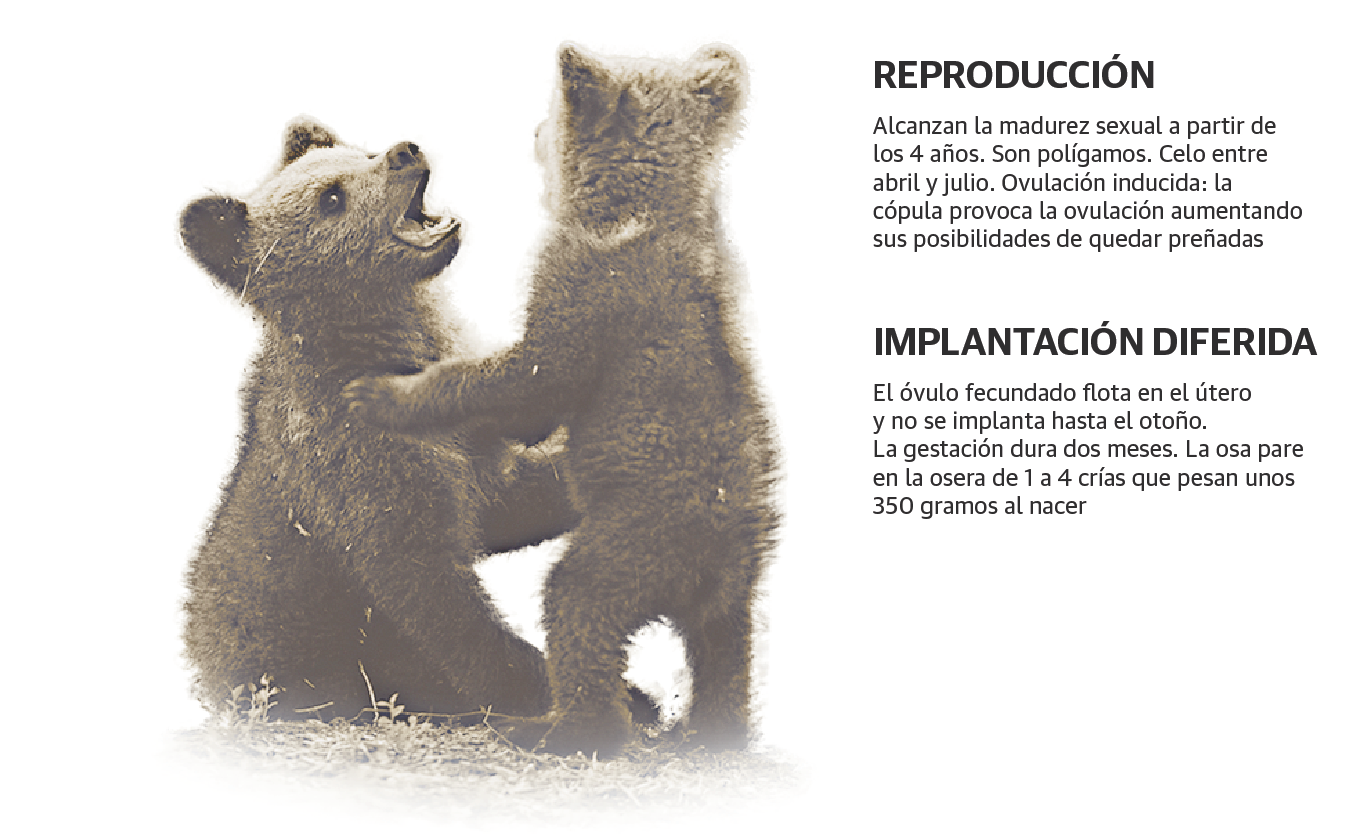 Scroll Story imagen 0