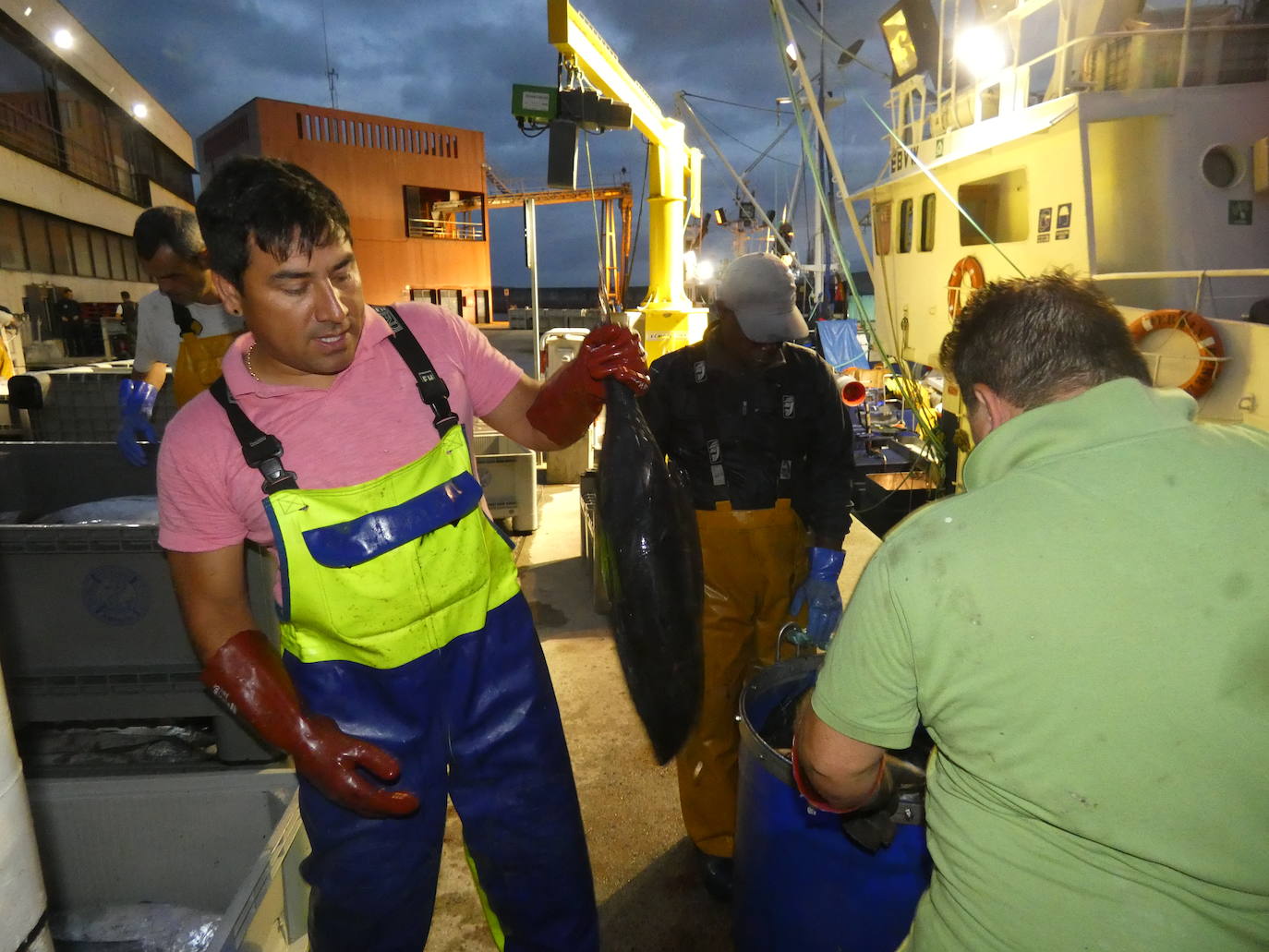 Fotos: La costera del bonito, en imágenes