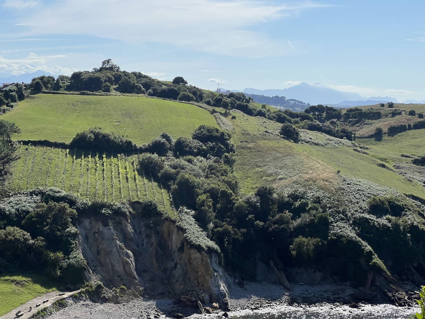 Samuel Fernández desarrolla propuestas muy gustosas con toques creativos pero sin olvidar los conceptos clásicos | La carta cuenta con una amplia y atractiva variedad de entrantes antes de llegar a los pescados del día