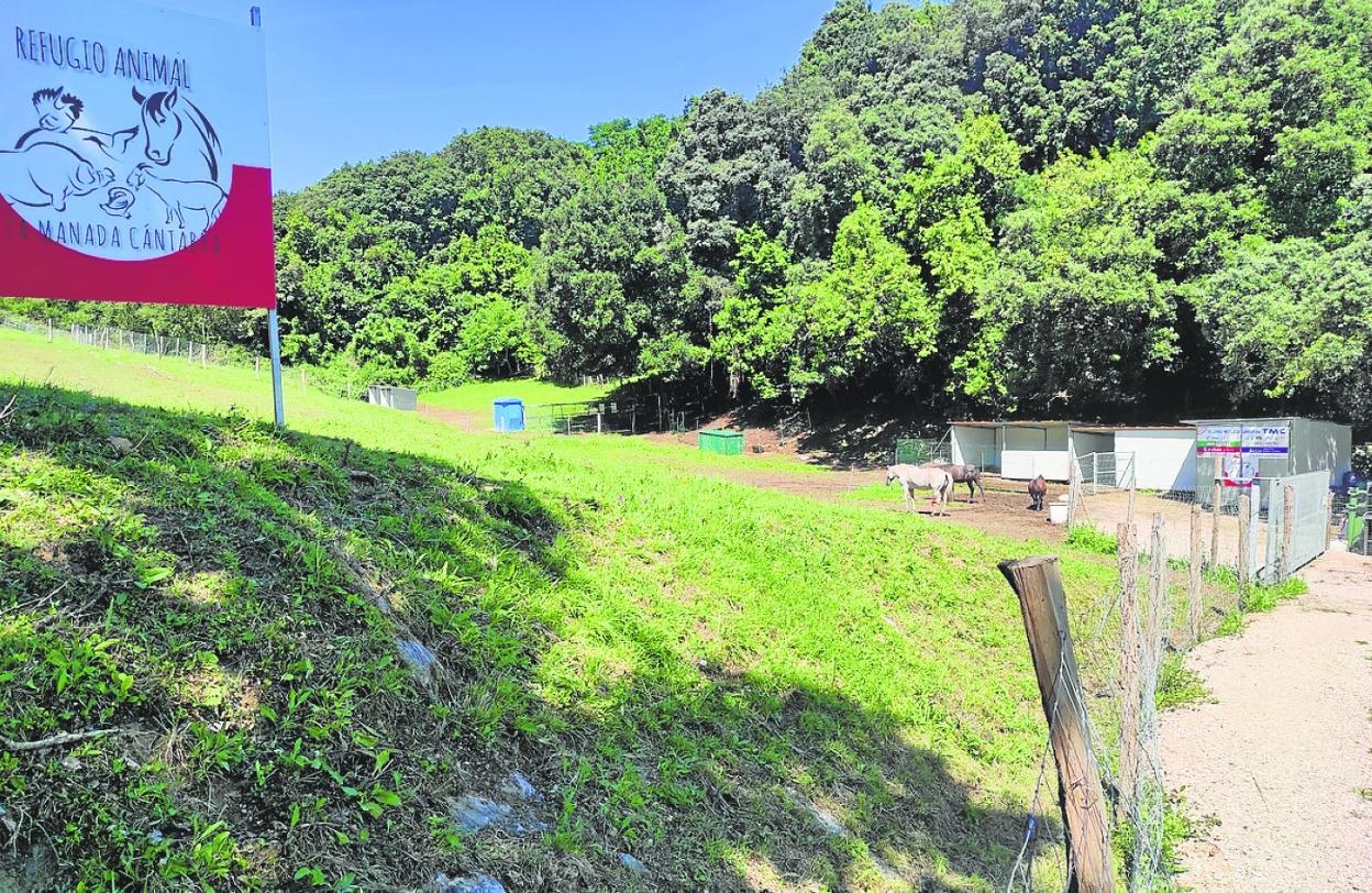 Terrenos donde el refugio animal La Manada desarrolla su actividad. 