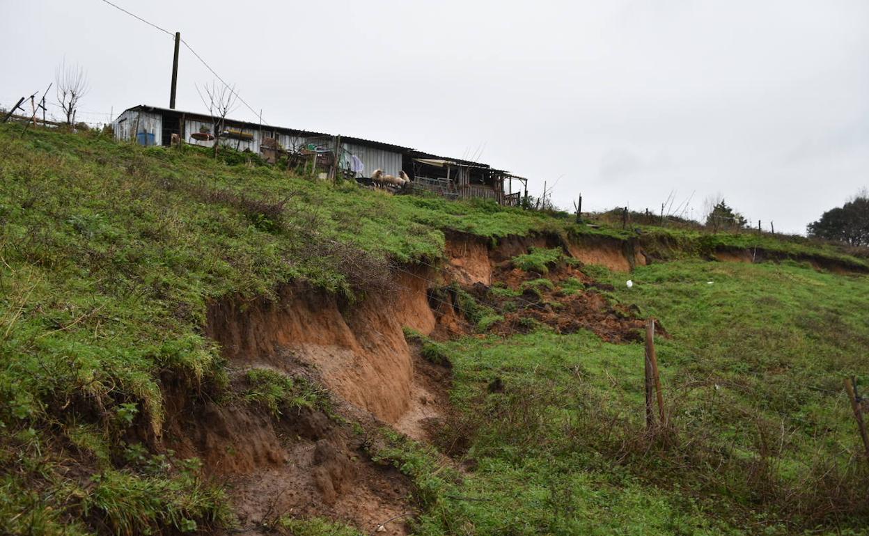 Vista del argayo surgido en la ladera de una finca privada, en el barrio El Juyo (Igollo), a 300 metros sobre la cueva homónima. 