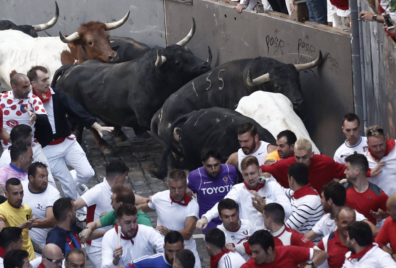 Los toros llegan a la curva de la calle de la Estafeta durante el segundo encierro.