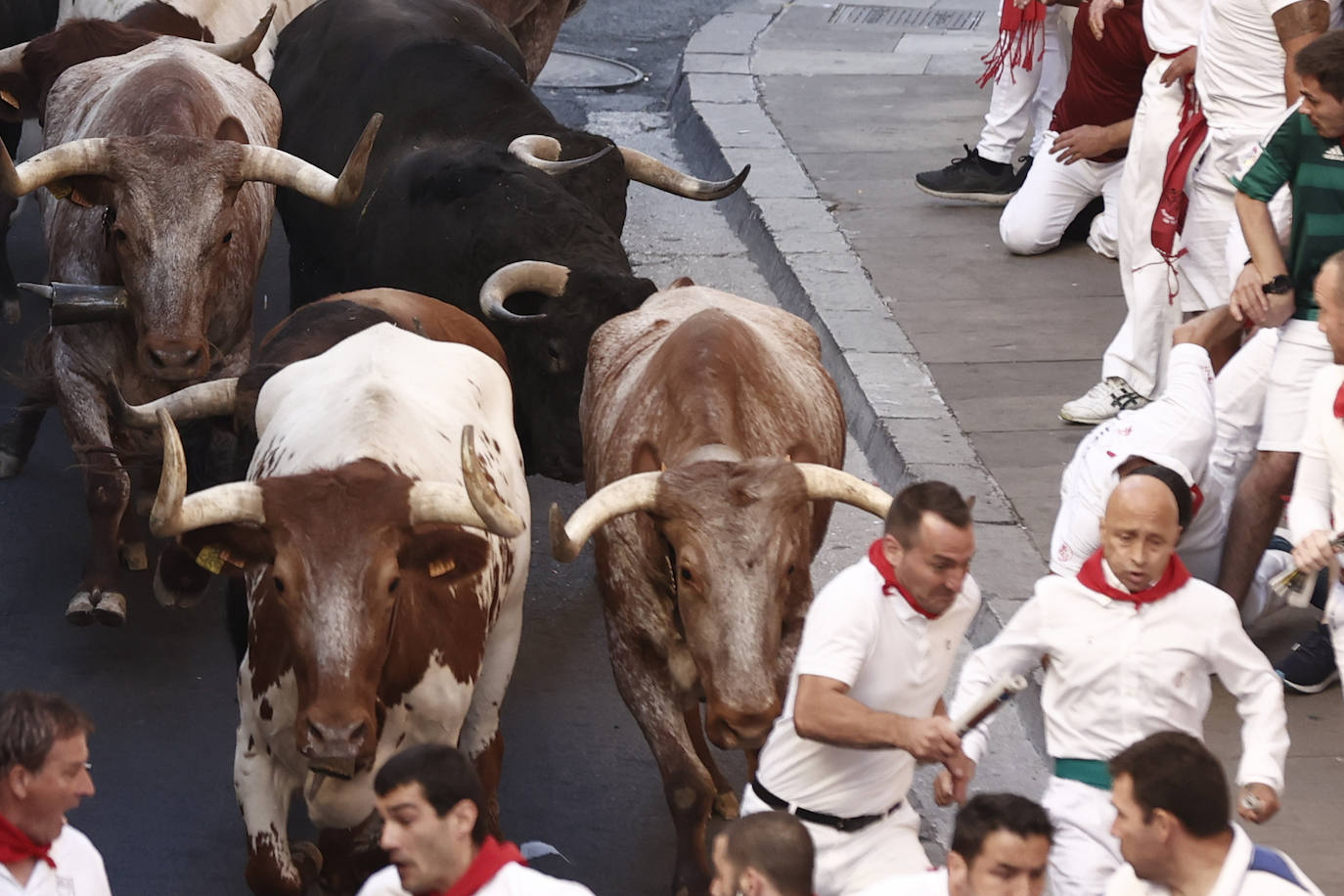 Los toros de la ganadería de Jandilla enfilan la Cuesta de Santo Domingo en los primeros metros del sexto encierro de los Sanfermines.