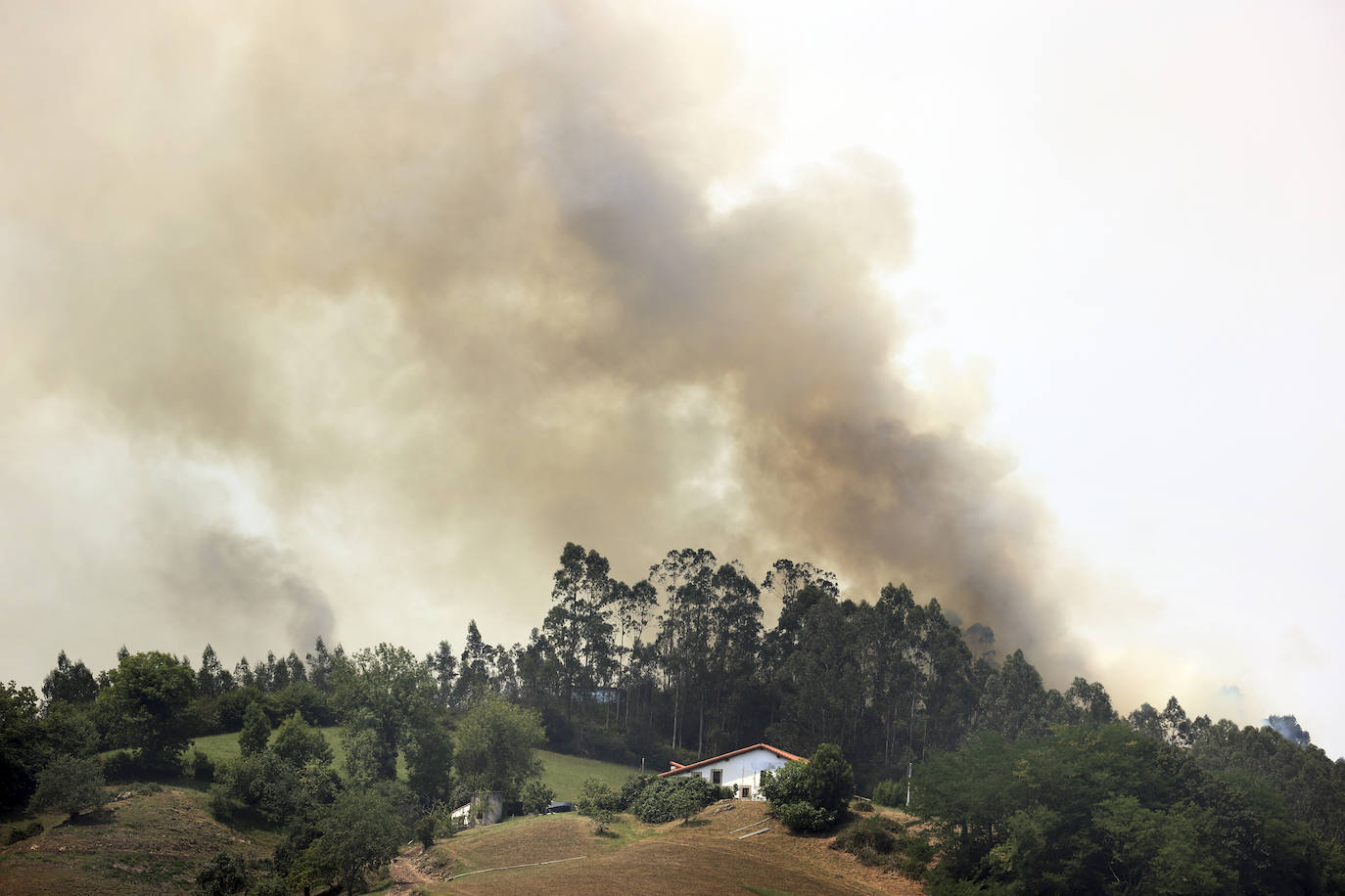 Fotos: La ola de calor deja el primer incendio intencionado