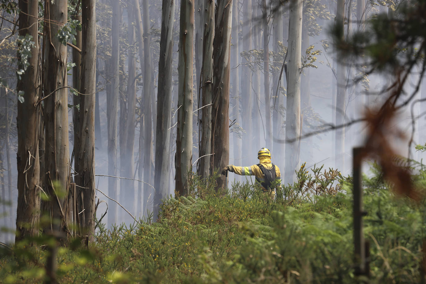 Fotos: La ola de calor deja el primer incendio intencionado