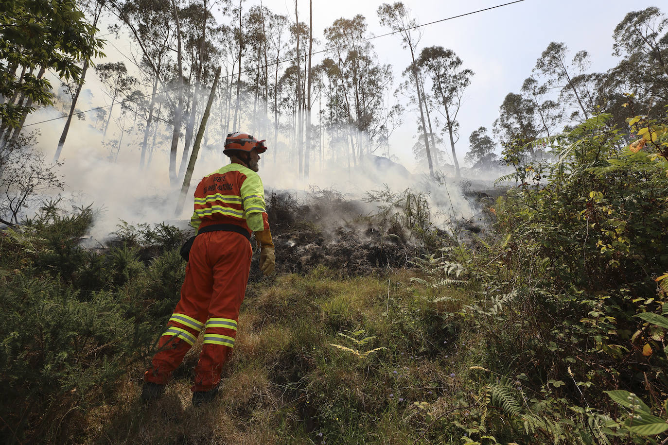 Fotos: La ola de calor deja el primer incendio intencionado