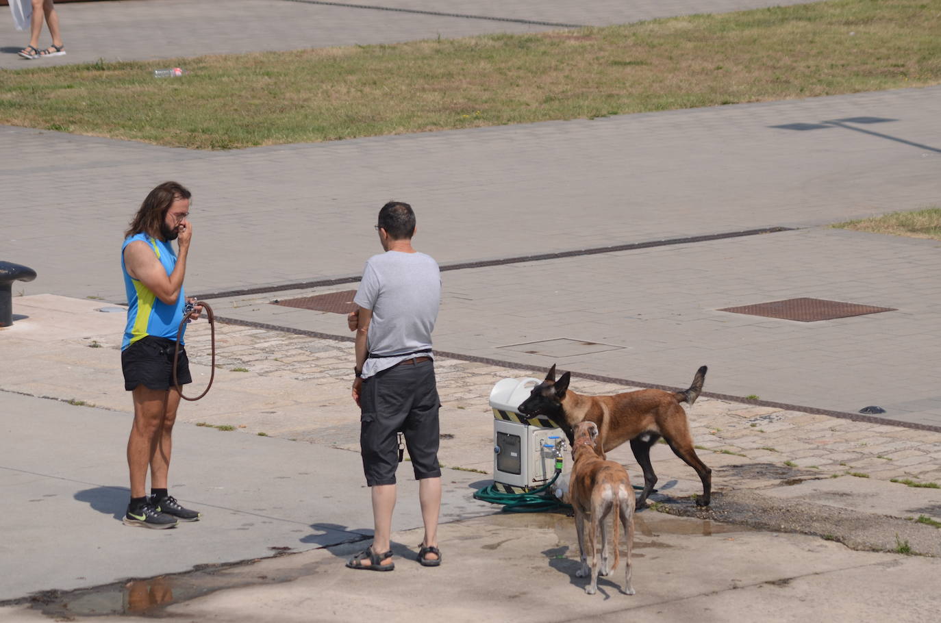 Cantabria se achicharra y San Felices de Buelna registra la temperatura máxima del país (38,4º).