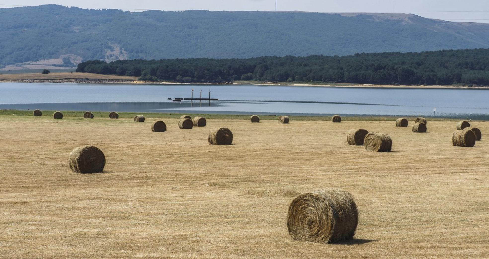 Campo con rollos de hierba segada, con el pantano del Ebro como telón de fondo.