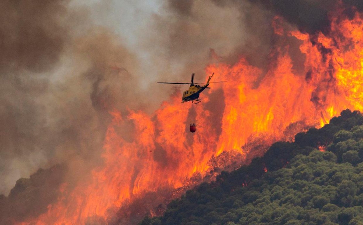 Qué hay que hacer si te encuentras con un incendio en la carretera