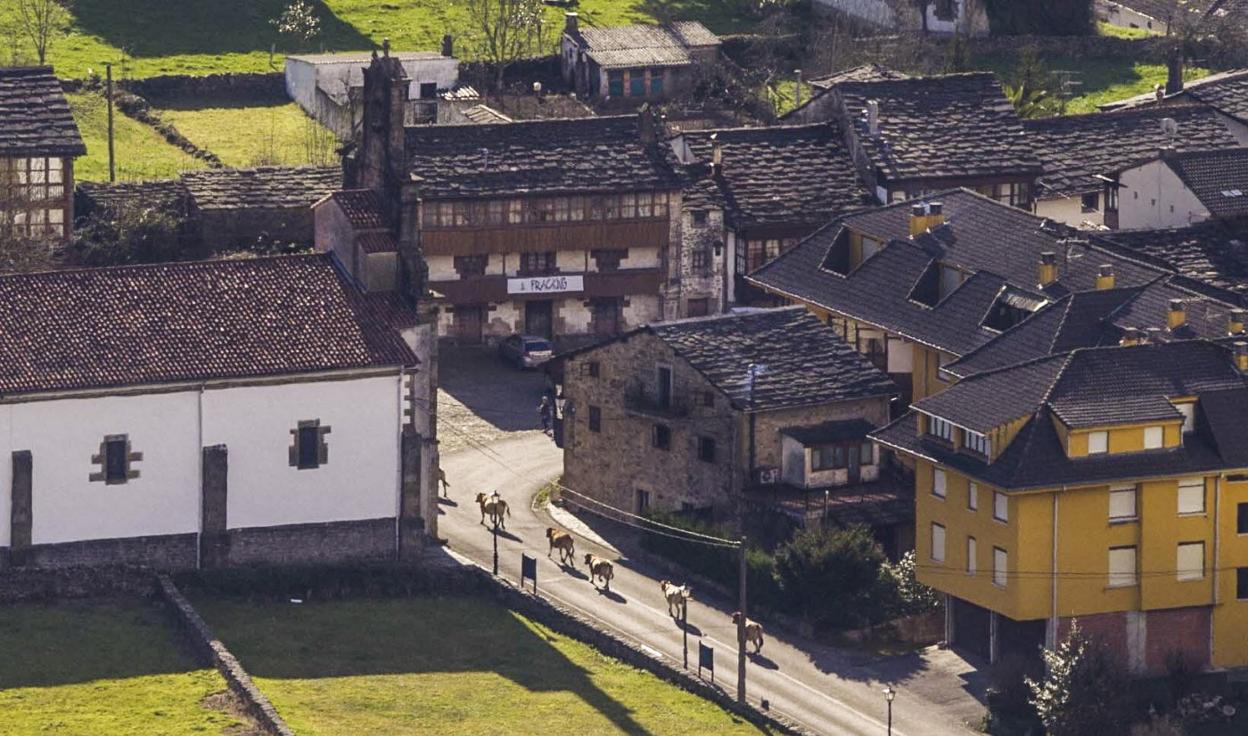 La casa natal del doctor Madrazo (en el centro de la imagen, con un cartel colgado de la balconada), acogerá un museo del popular médico. 