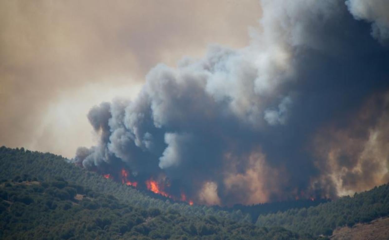 Vista del incendio en Ateca.