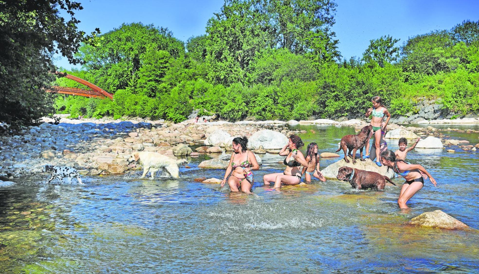 Un grupo de bañistas, con sus perros, tratan de mitigar el efecto del calor con un chapuzón en el Saja entre Cabezón y Mazcuerras. 