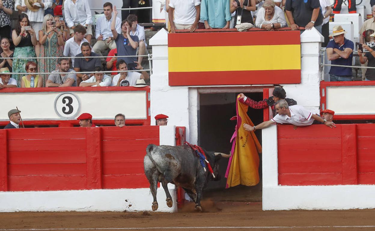 Momento en que el astado indultado regresa a los corrales de la plaza santanderina.