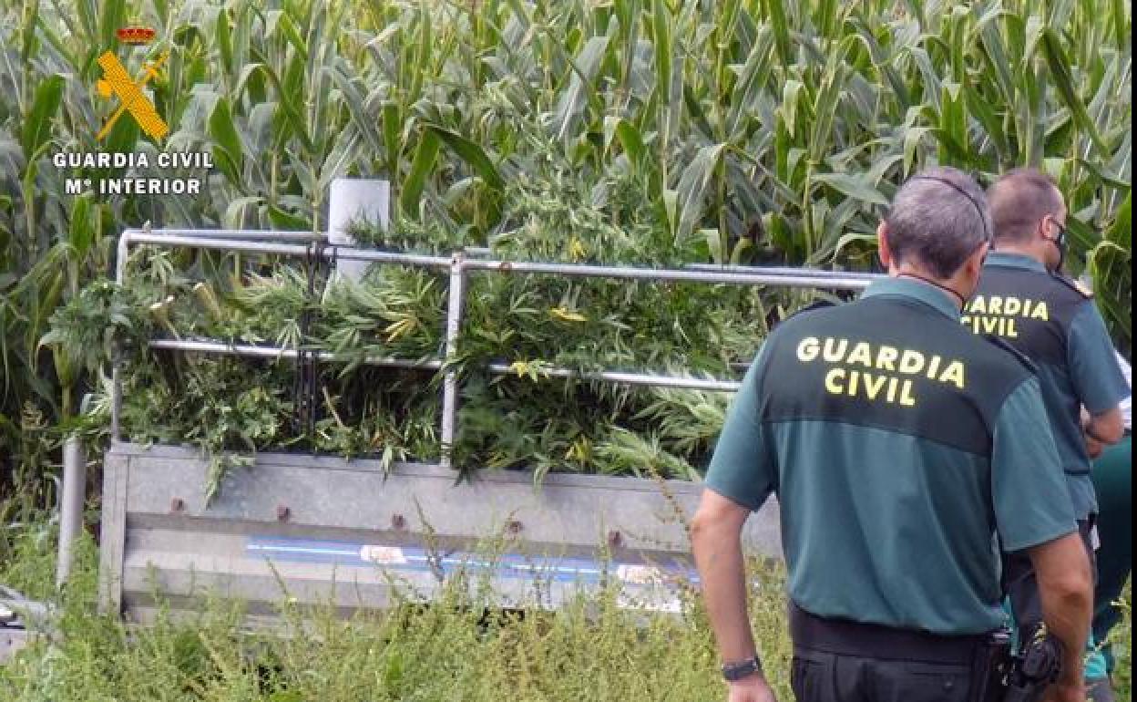 Imagen facilitada por la Guardia Civil sobre su inervención en la finca de Vispieres. 