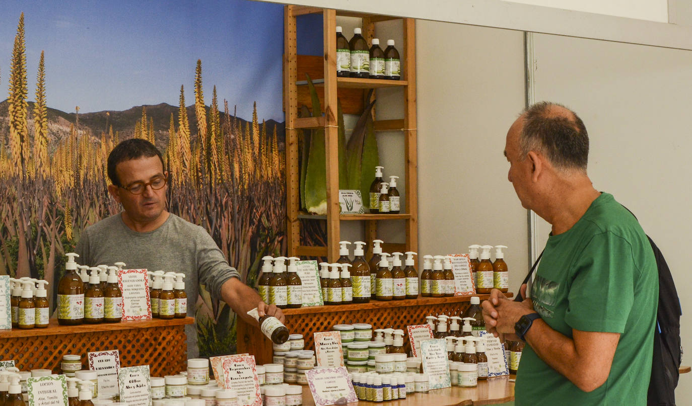 Fotos: La Feria de Artesanía regresa a la Plaza Porticada con 34 propuestas