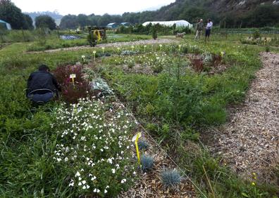 Imagen secundaria 1 - Ocho paisajistas crean nuevos jardines en La Busta para impulsar su profesión