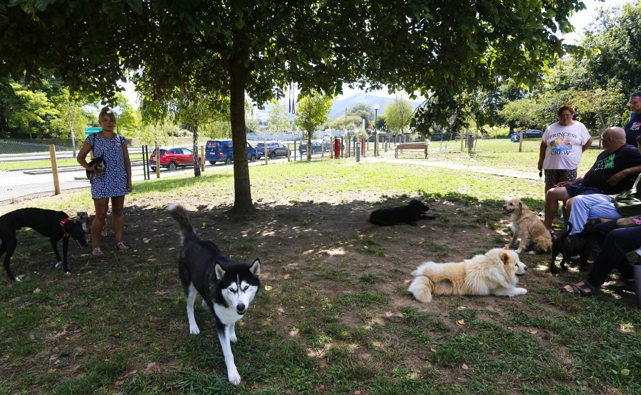 Dispensador bolsa de caca de perro en un parque público Fotografía