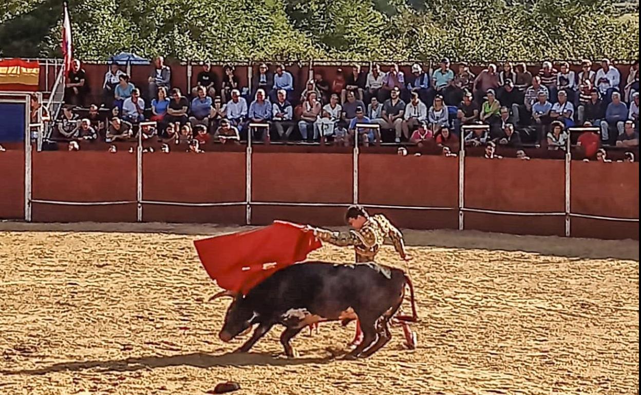 Daniel Medina da un pase de pecho a su primer novillo de El Pilar. 