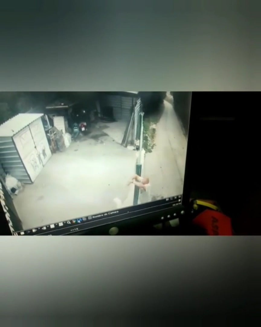 Arrojan un perro por la valla del refugio canino de Asproan