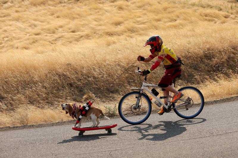 Los mejores patinadores del mundo se han dado cita este septiembre en Estados Unidos para celebrar el tradicional Maryhill Ratz Freeride. Un descenso que se lleva a cabo en el histórico Maryhill Loops Road, el primer suelo pavimentado del país norteamericano. El evento, que se celebra desde 2007, atrae a cientos de 'skaters', ciclistas y aficionados de todo el mundo