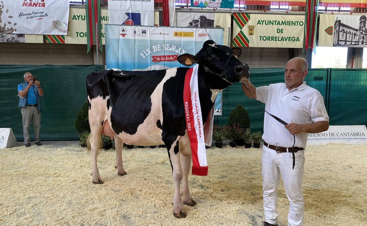 Llera Byway Lerela, ejemplar de Llera Her, S.C., de Caviedes (Valdáliga), ganadora del concurso.