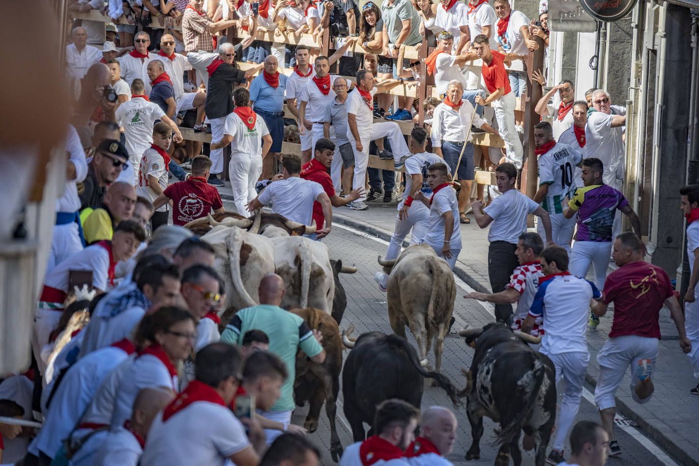 Fotos: Emocionante tercer encierro de las Fiestas de Ampuero