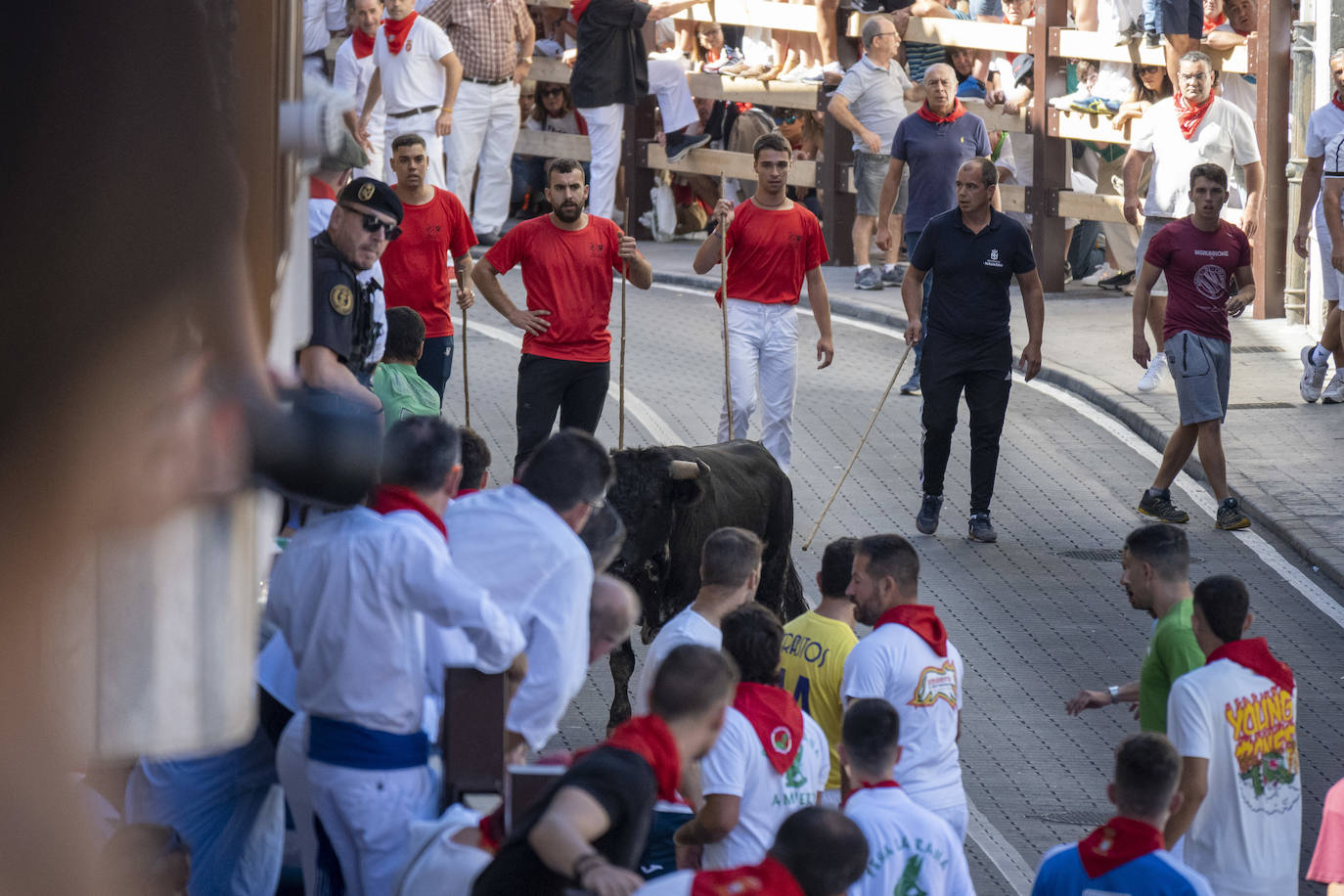 Fotos: Emocionante tercer encierro de las Fiestas de Ampuero