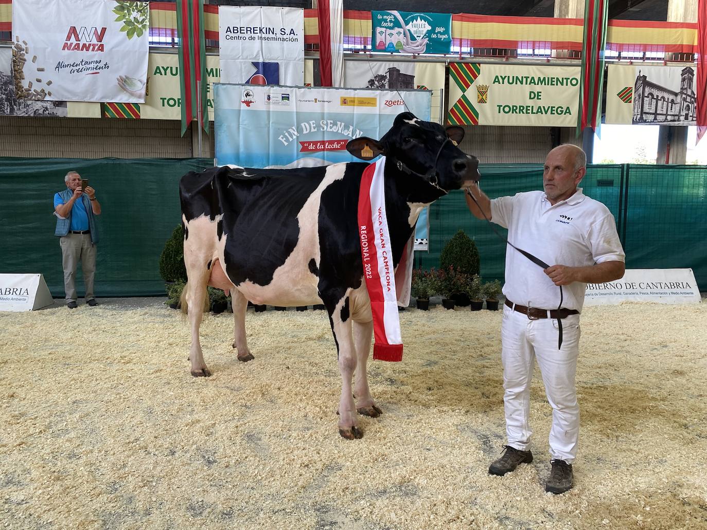 Fotos: Imágenes del Regional de vacas frisonas