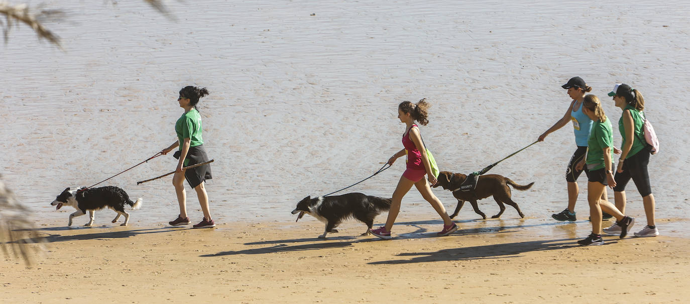 Fotos: Multitudinaria Marcha de las Cinco Playas en Santander