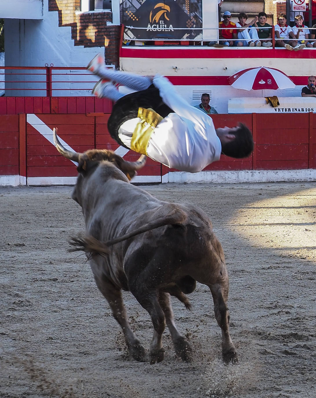 Fotos: Imágenes del concurso de recortadores de Ampuero