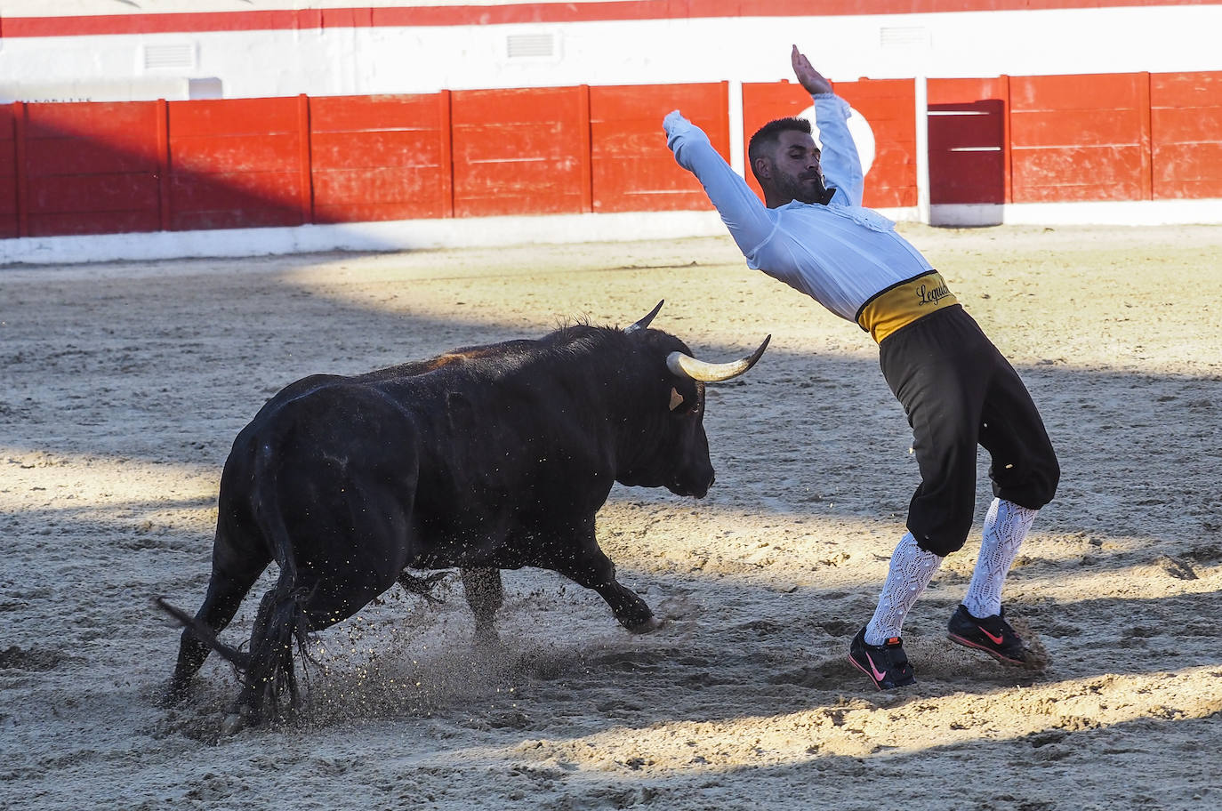 Fotos: Imágenes del concurso de recortadores de Ampuero