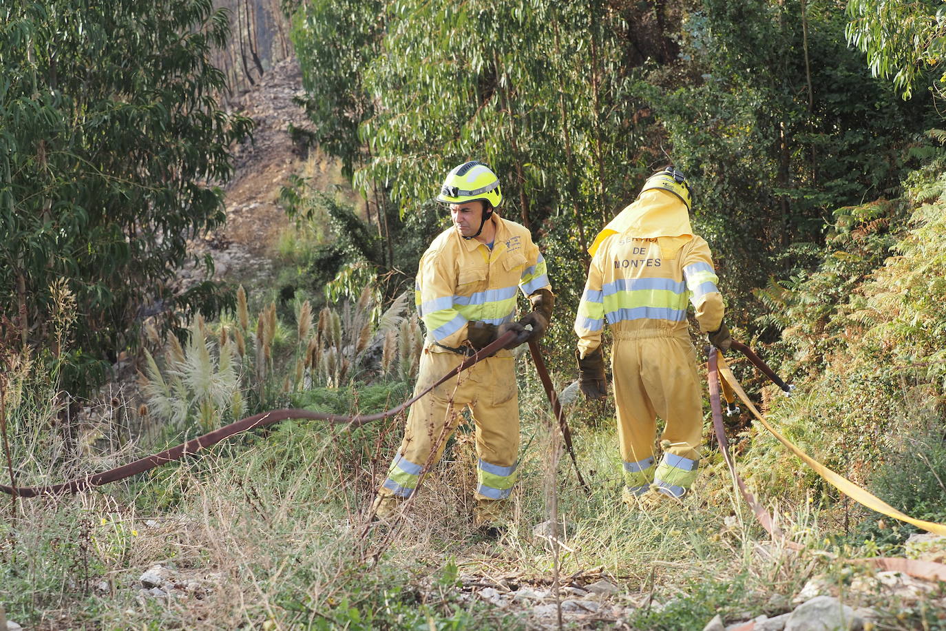 Fotos: Incendios activos pero contolados en Cantabria