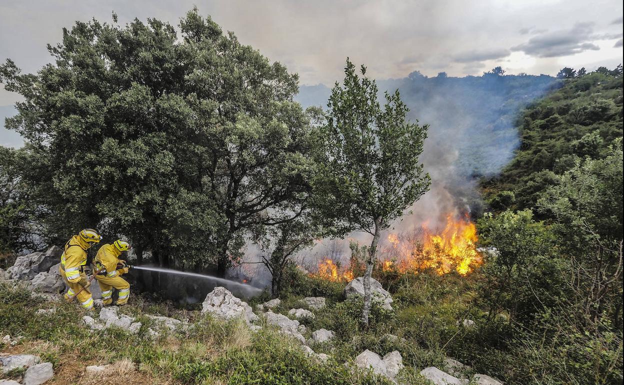 Miembros de las cuadrillas de extinción luichan contra uno de los focos del incendio en Peña Cabarga. 