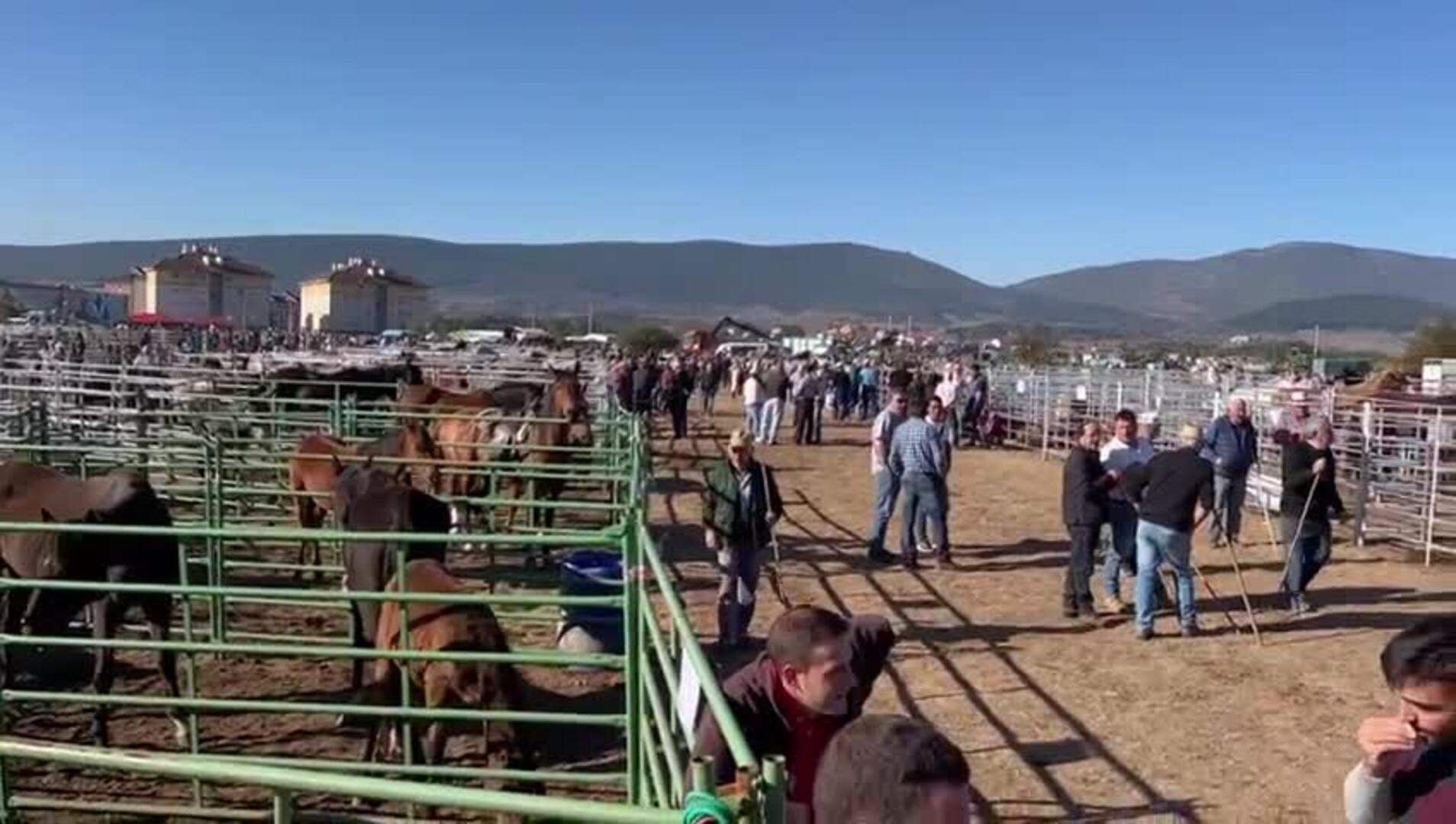 Feria de San Mateo en Reinosa