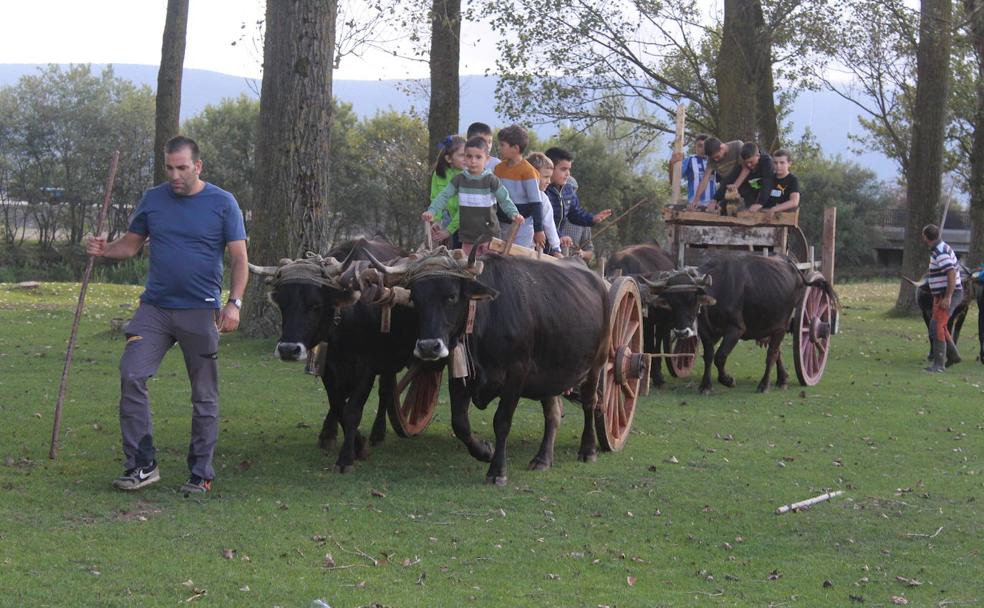 Los adultos enseñan a los pequeños la tradición para que no se pierda.